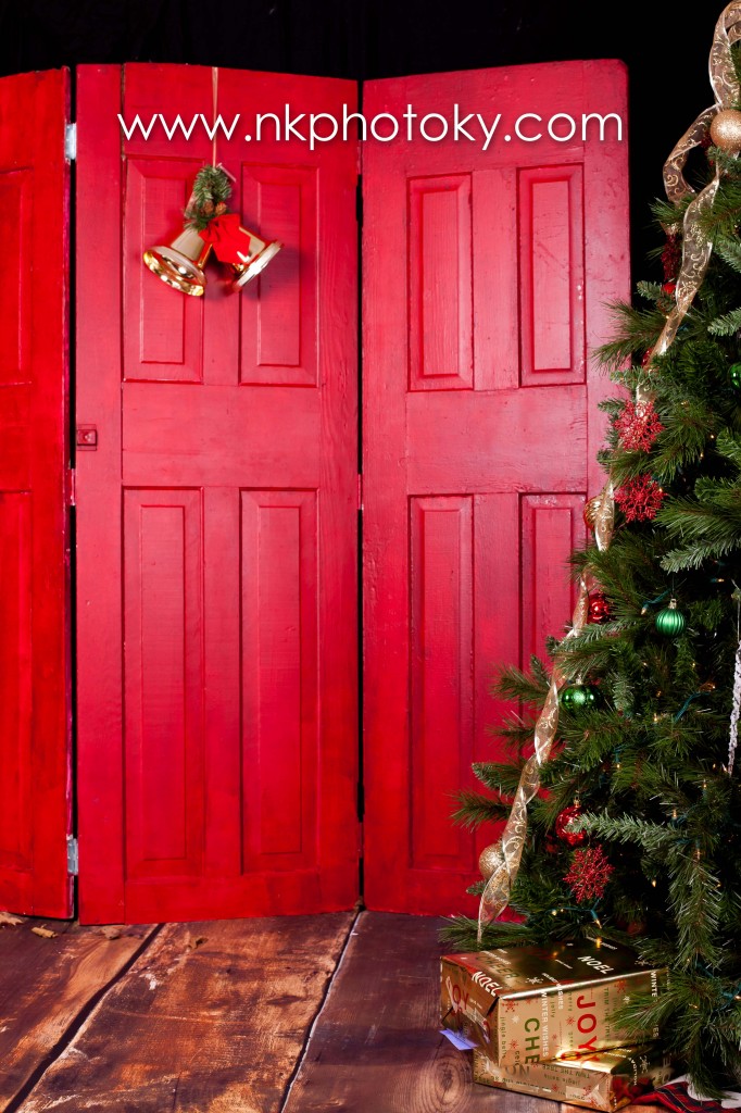 2013 Christmas Mini-Sessions | Kentucky Photographer